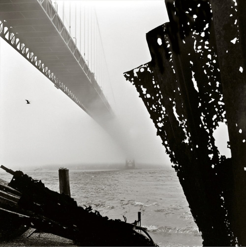 Las calles de San Francisco en las décadas de 1940 y 60 en imágenes de Fred Lyon