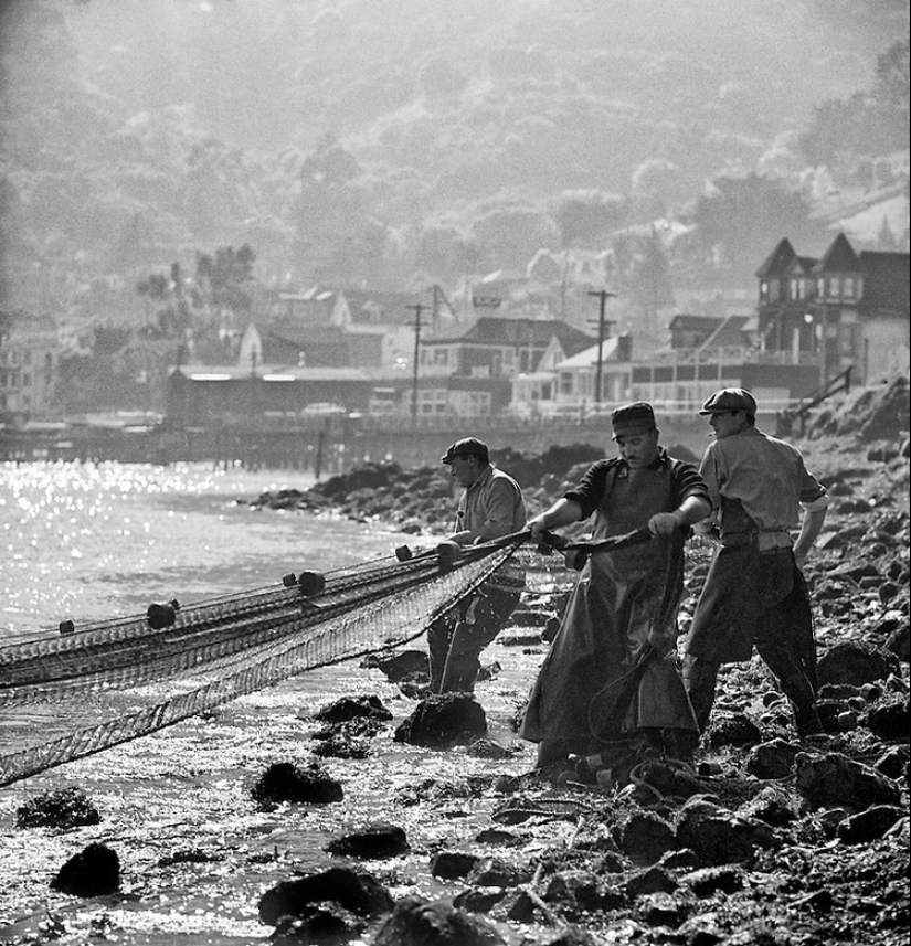 Las calles de San Francisco en las décadas de 1940 y 60 en imágenes de Fred Lyon