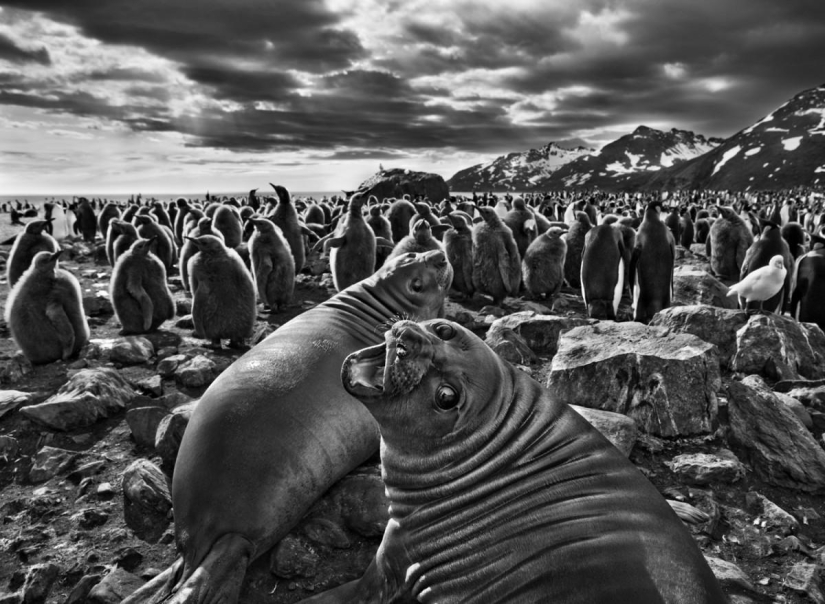 Las fotos más bellas de lugares no tocados por el hombre