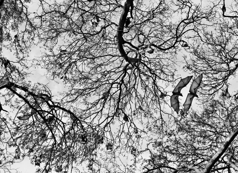 Las fotos más bellas de lugares no tocados por el hombre