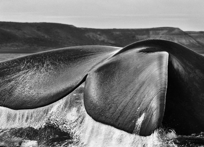 Las fotos más bellas de lugares no tocados por el hombre