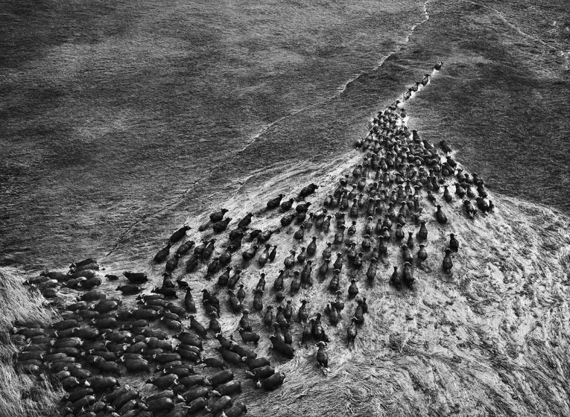 Las fotos más bellas de lugares no tocados por el hombre