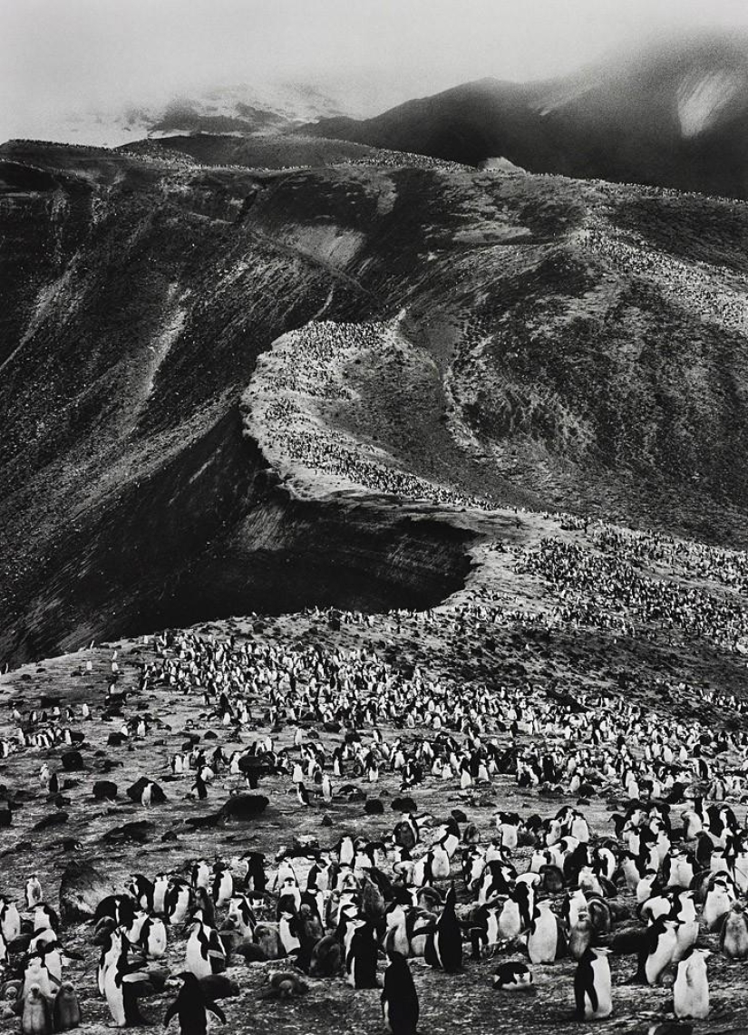 Las fotos más bellas de lugares no tocados por el hombre