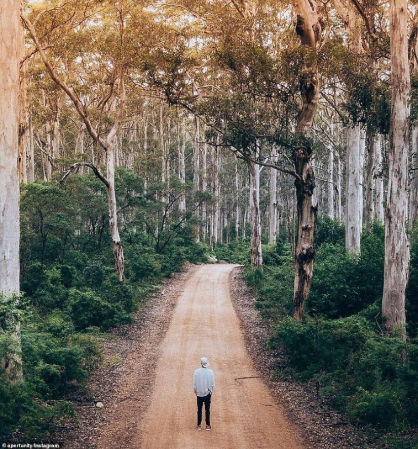 ¡Las personas especialmente impresionables deberían verlo! Australia fascinante a través de la lente de un dron