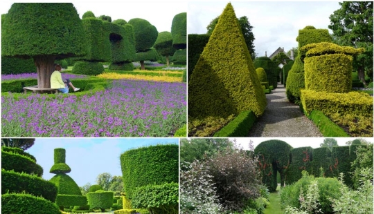 Levens Hall Garden