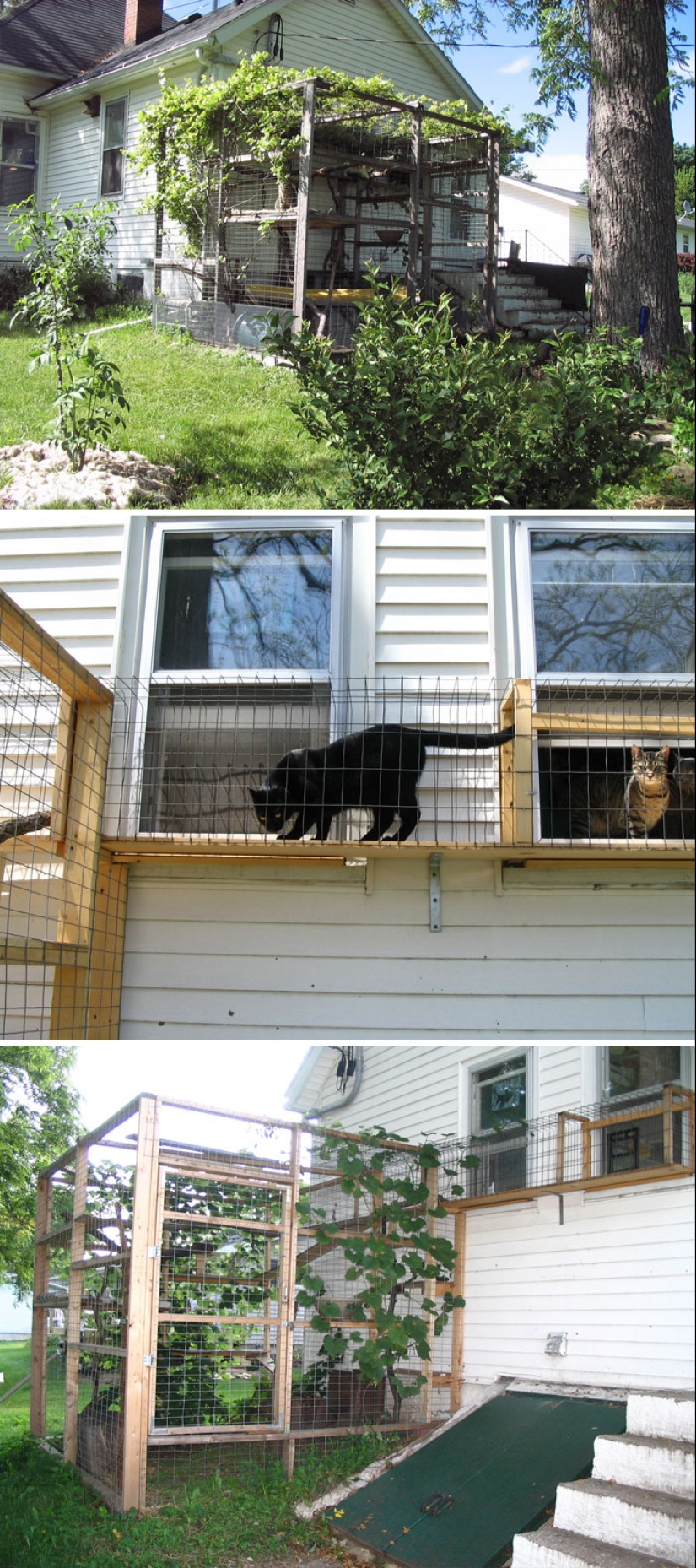 Lo que es y es Koti, zona de juegos para gatos al aire libre