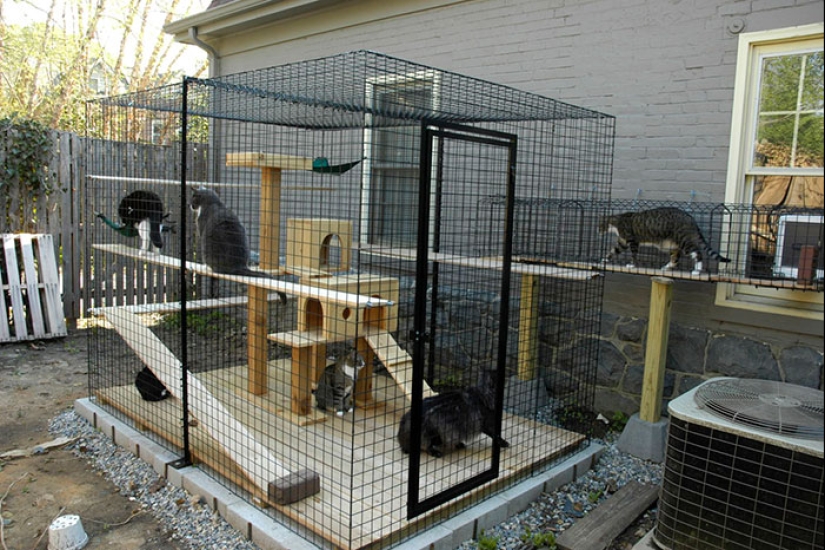 Lo que es y es Koti, zona de juegos para gatos al aire libre