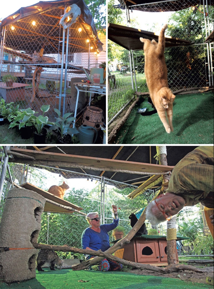 Lo que es y es Koti, zona de juegos para gatos al aire libre