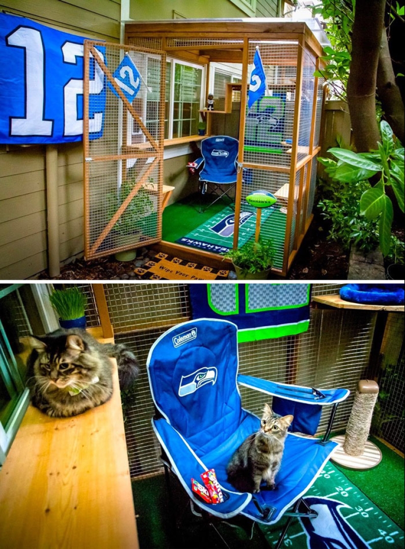 Lo que es y es Koti, zona de juegos para gatos al aire libre