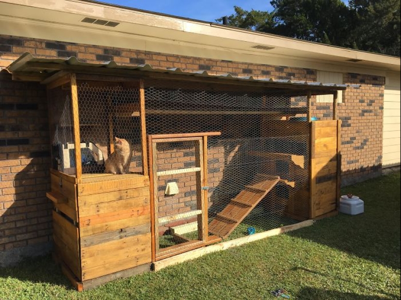 Lo que es y es Koti, zona de juegos para gatos al aire libre