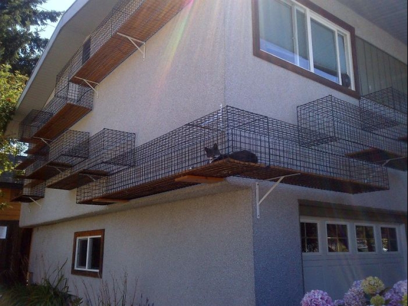 Lo que es y es Koti, zona de juegos para gatos al aire libre