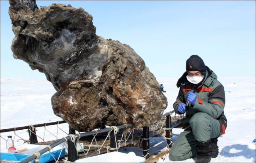 Lo que esconde el hielo: 12 hallazgos aterradores encontrados en glaciares