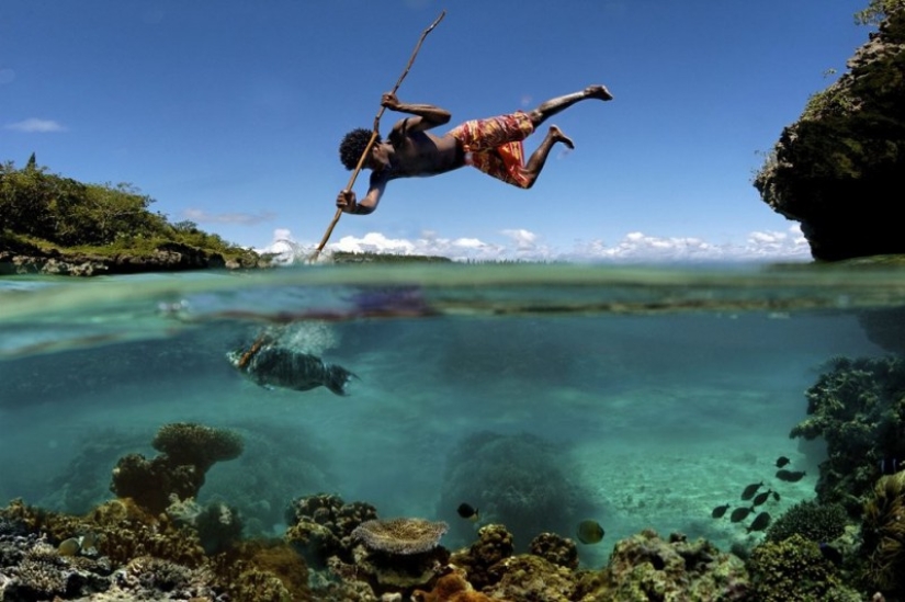 Lo que se esconde bajo el agua: 34 fotos increíbles