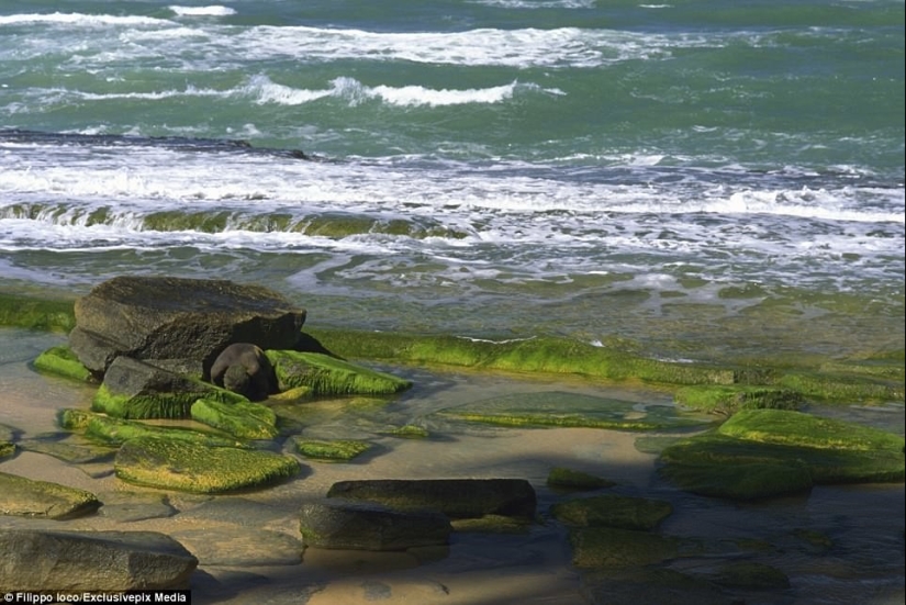 Look for a woman: nude models blend in with the landscape