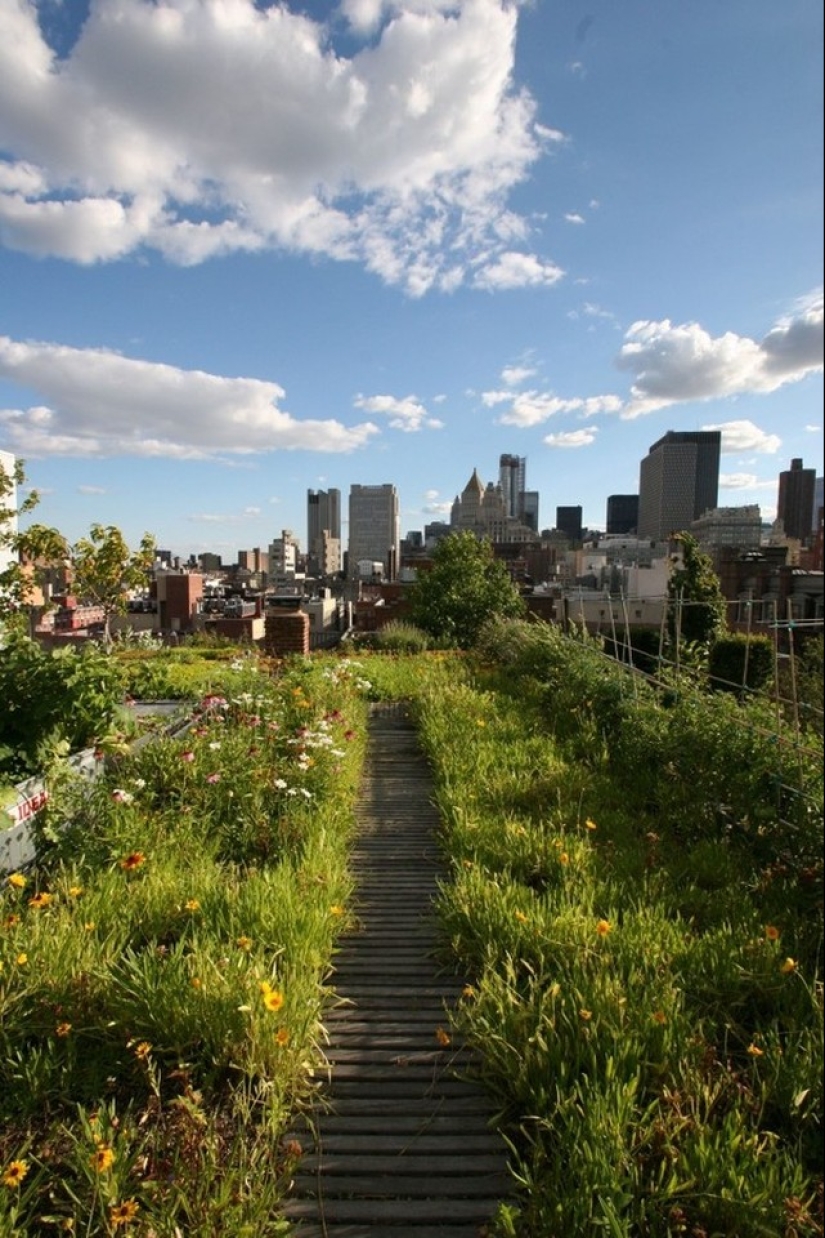 Los balcones y terrazas más bonitos de Nueva York