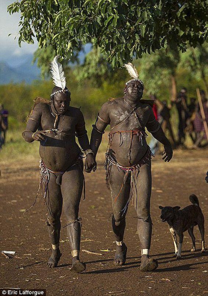 Los hombres de una tribu etíope beben sangre con leche para obtener el título de los residentes más gordos de la aldea