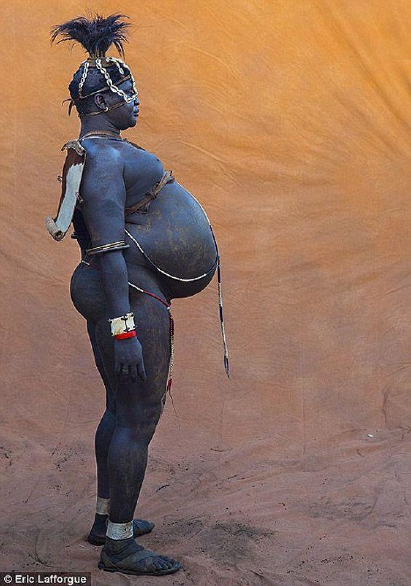 Los hombres de una tribu etíope beben sangre con leche para obtener el título de los residentes más gordos de la aldea