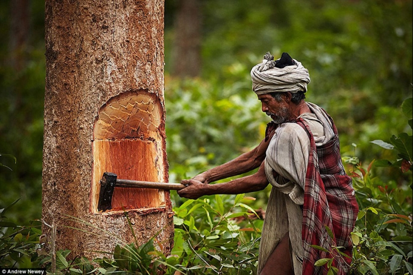 Los últimos cazadores y recolectores: la vida de una tribu primitiva en Nepal