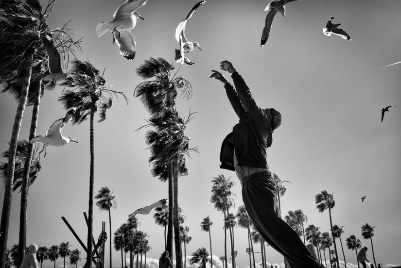 Los últimos días del paraíso bohemio: la loca playa de Venecia en la lente de un fotógrafo israelí