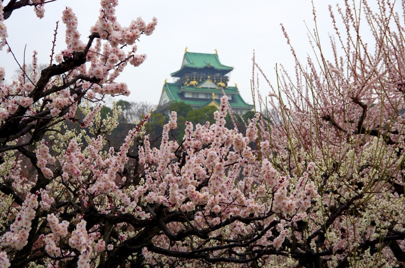 Los mejores castillos y templos de Japón