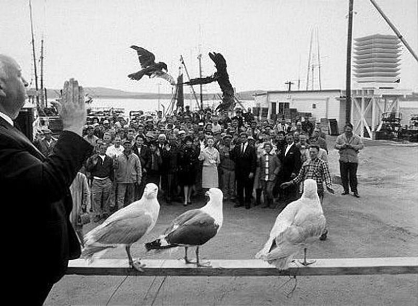 Los mejores tiros del set de Hitchcock, el maestro del suspense