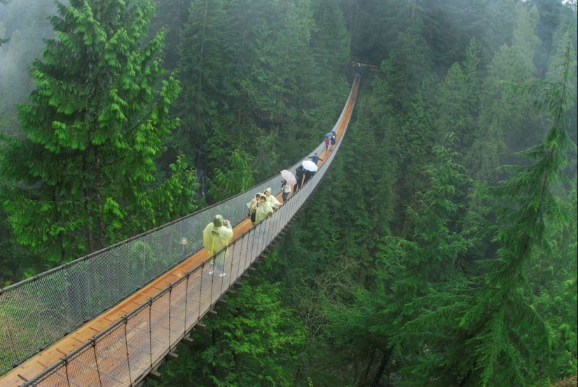 Los más bellos puentes peatonales en el mundo