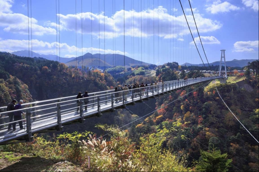 Los más bellos puentes peatonales en el mundo