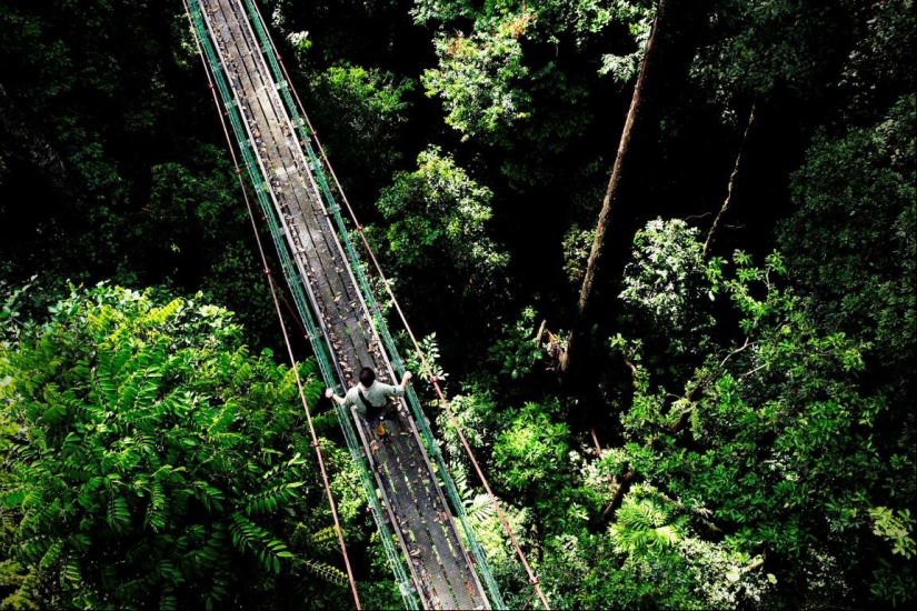 Los más bellos puentes peatonales en el mundo