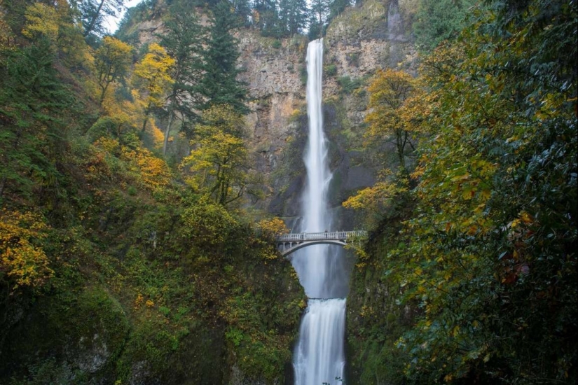 Los más bellos puentes peatonales en el mundo