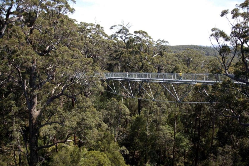 Los más bellos puentes peatonales en el mundo