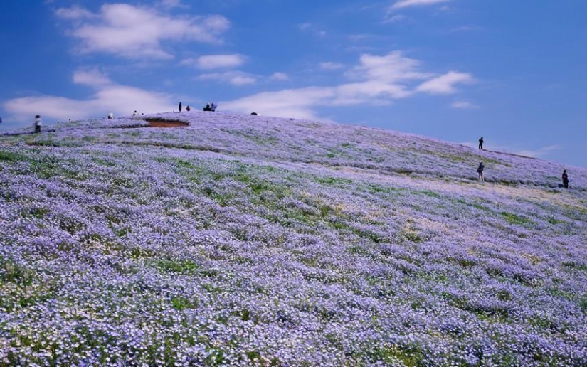 Los paisajes más surrealistas de nuestro planeta