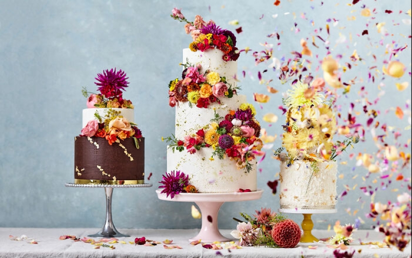 Los premios Tiptree Cake Awards anuncian las 12 mejores fotografías de pasteles para celebrar el Día Nacional del Pastel