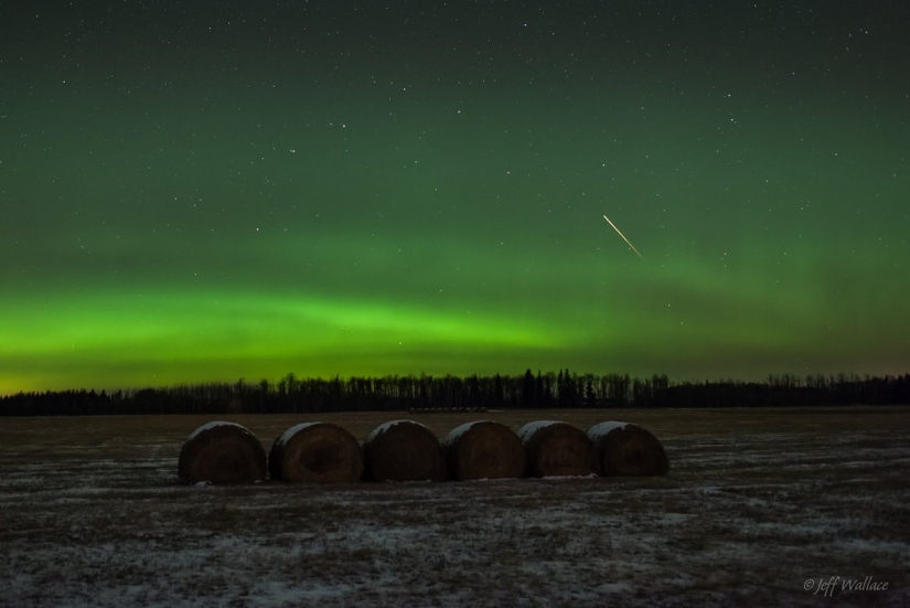 Los stargazes que no te puedes perder este año