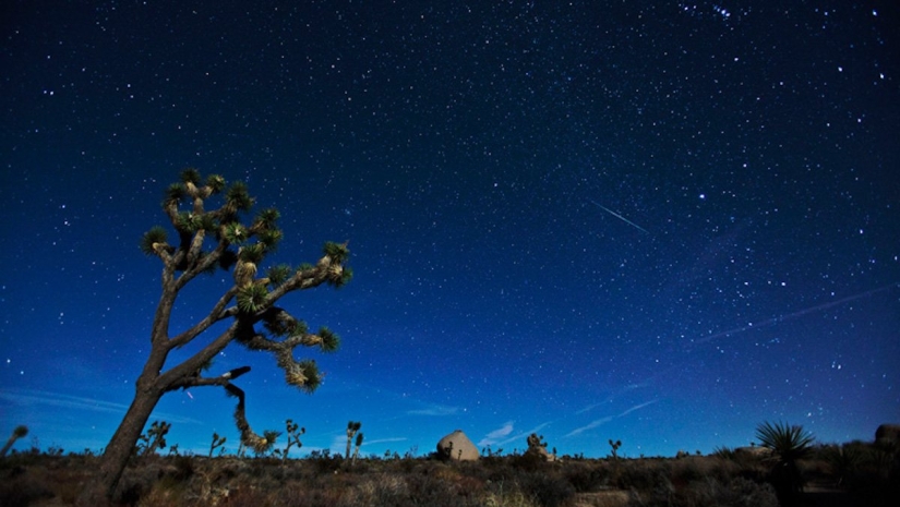 Los stargazes que no te puedes perder este año