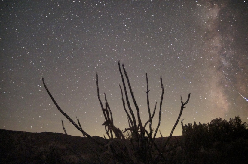 Los stargazes que no te puedes perder este año