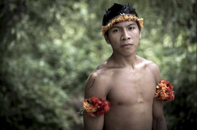 Lost in the jungle: How the people of ava live — the most secretive people on the planet