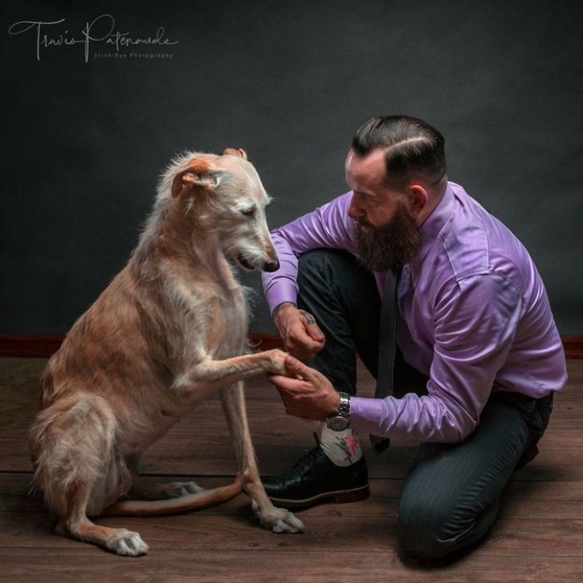 Lovely dog with a tragic fate: greyhounds of Galgo from Spain