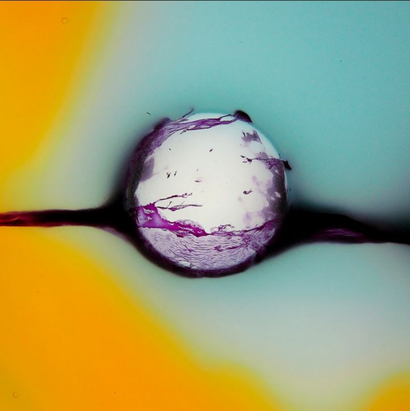 Macrophoto of liquids