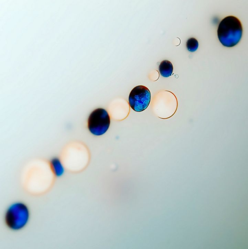 Macrophoto of liquids