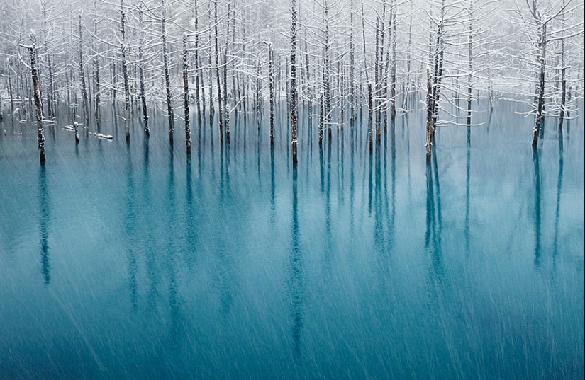 Magníficos paisajes nevados