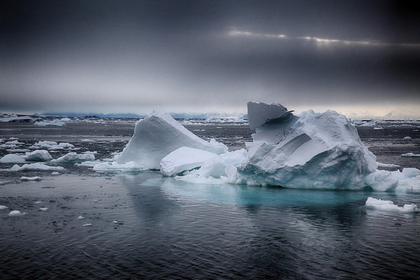 Magnificent Antarctica through the eyes of Deven Strauss