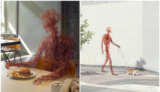 "Man, no matter what": a project about the life of our circulatory system
