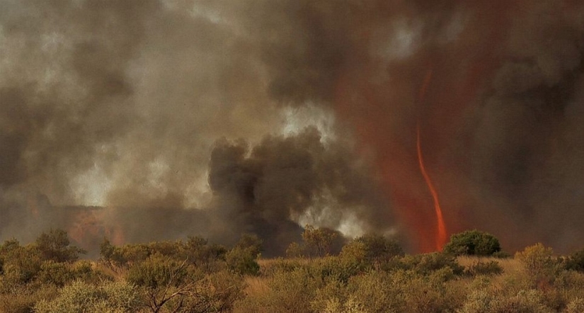 Maravillas aterradoras de la naturaleza: cómo se ve un tornado de fuego