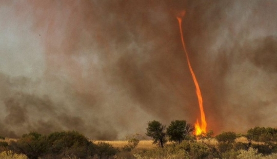 Maravillas aterradoras de la naturaleza: cómo se ve un tornado de fuego