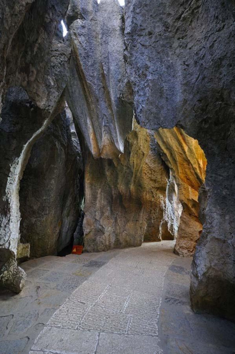 Maravillas del mundo: el bosque de piedras de Shilin en China