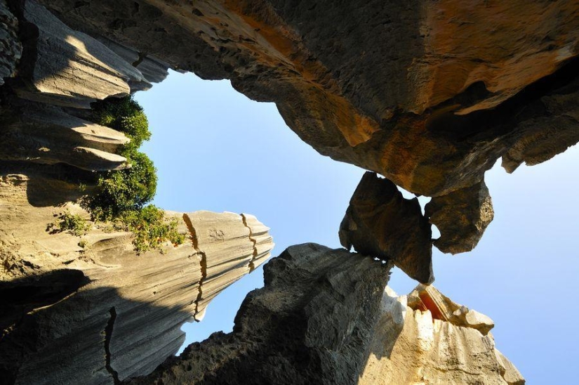 Maravillas del mundo: el bosque de piedras de Shilin en China