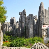 Maravillas del mundo: el bosque de piedras de Shilin en China