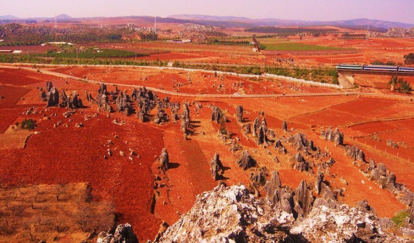 Maravillas del mundo: el bosque de piedras de Shilin en China