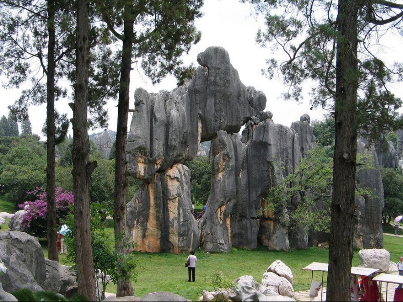 Maravillas del mundo: el bosque de piedras de Shilin en China