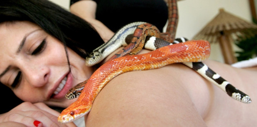 Massage with snakes